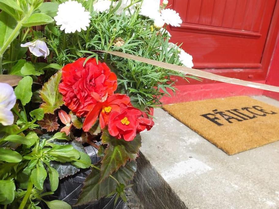 The Cosy Farm Cottage, Donegal Inver Exteriér fotografie