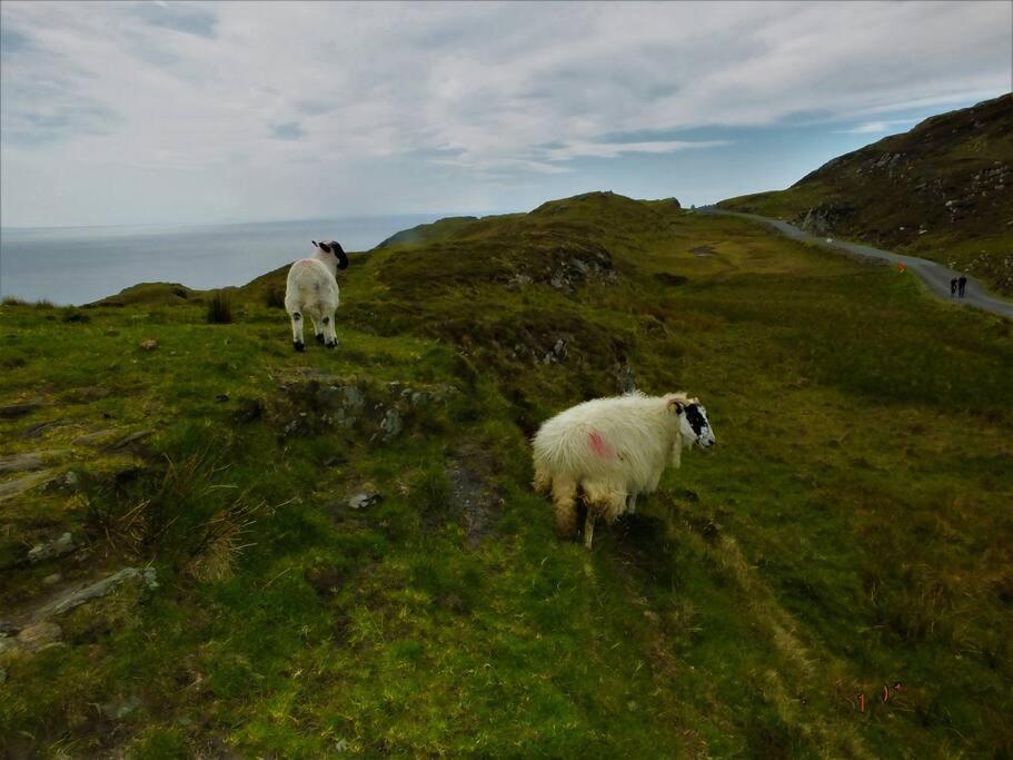 The Cosy Farm Cottage, Donegal Inver Exteriér fotografie